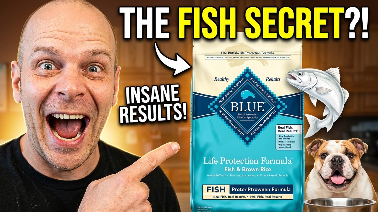 Blue Buffalo Life Protection Formula | Real Fish, Real Results Thumbnail
